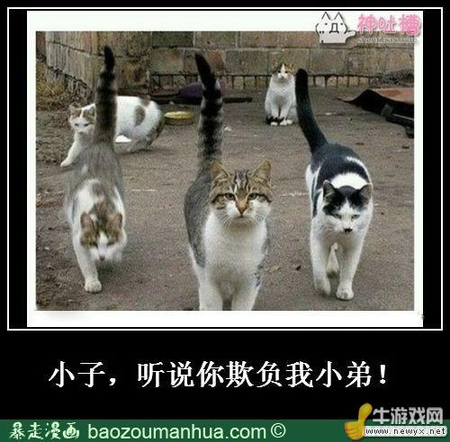 牛游戲網(wǎng)