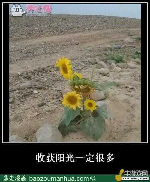 牛游戲網(wǎng)