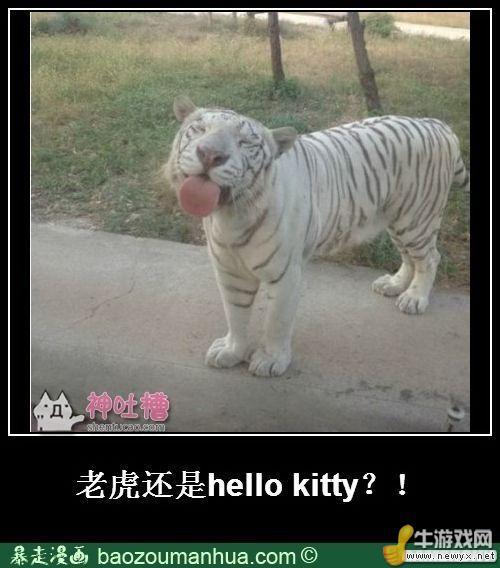 牛游戲網(wǎng)