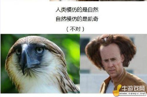 牛游戲網