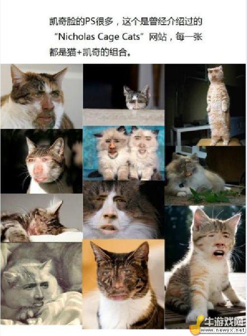 牛游戲網