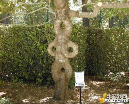 牛游戲網