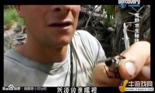牛游戲網
