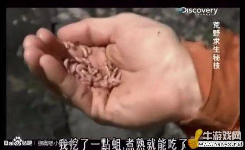 牛游戲網