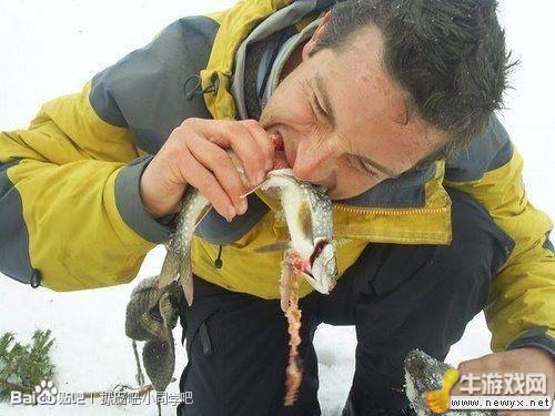 牛游戲網