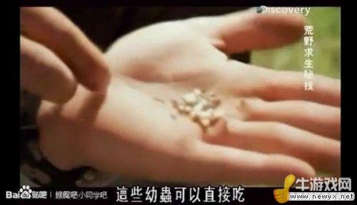 牛游戲網