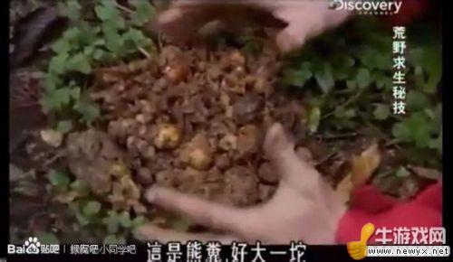 牛游戲網