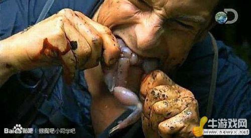 牛游戲網