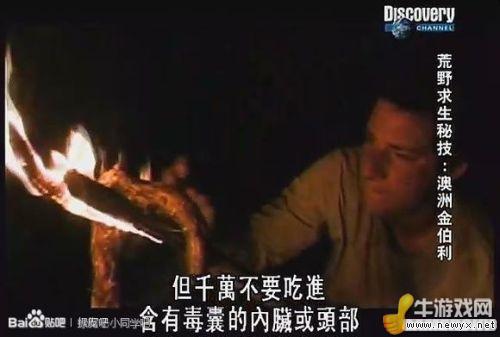 牛游戲網