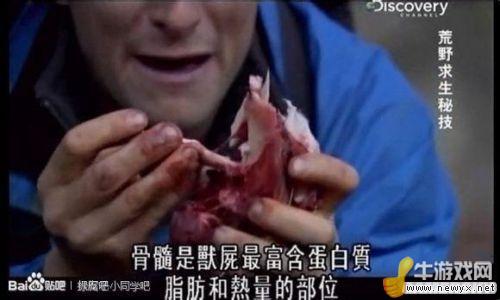 牛游戲網