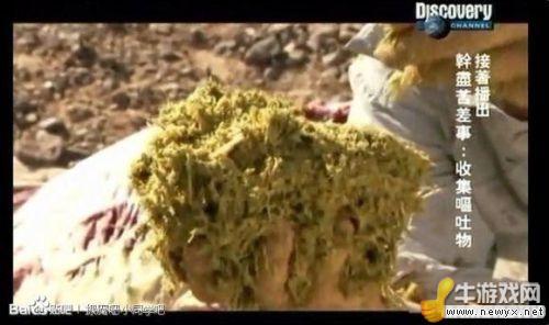 牛游戲網