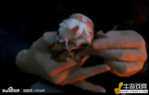 牛游戲網