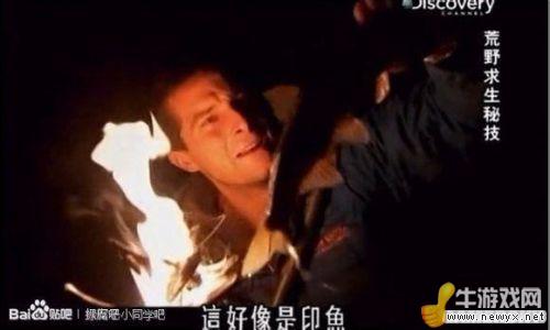 牛游戲網