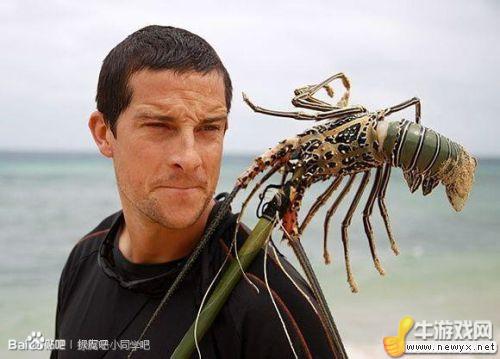 牛游戲網