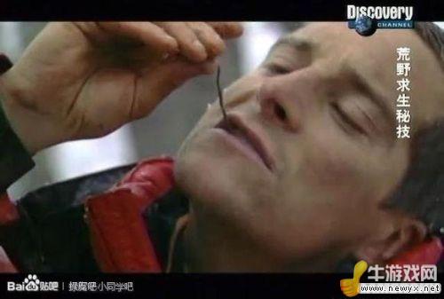 牛游戲網