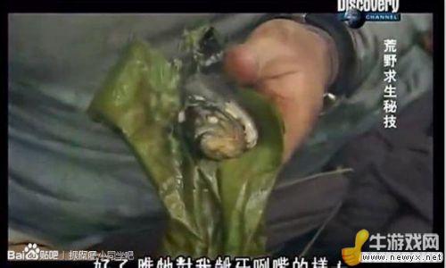 牛游戲網