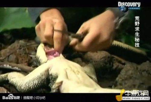 牛游戲網