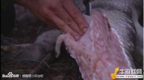牛游戲網