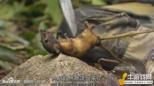 牛游戲網