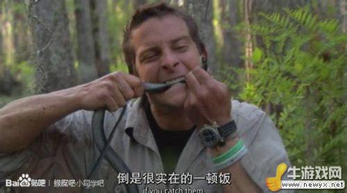 牛游戲網