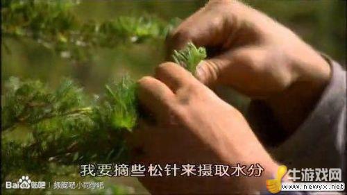 牛游戲網