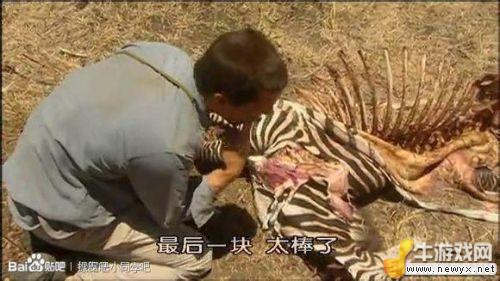 牛游戲網