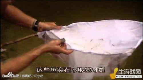 牛游戲網