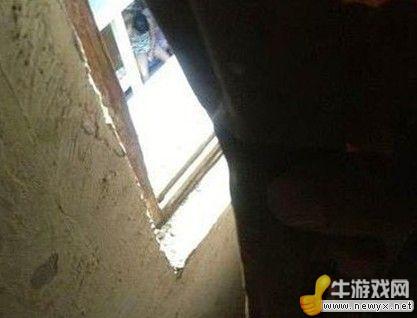 牛游戲網