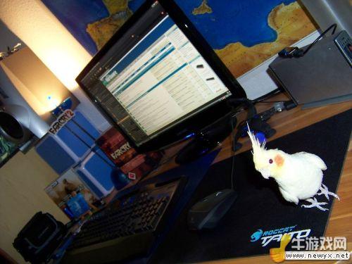 不受打擾的世外桃源 國外玩家的“游戲屋”欣賞