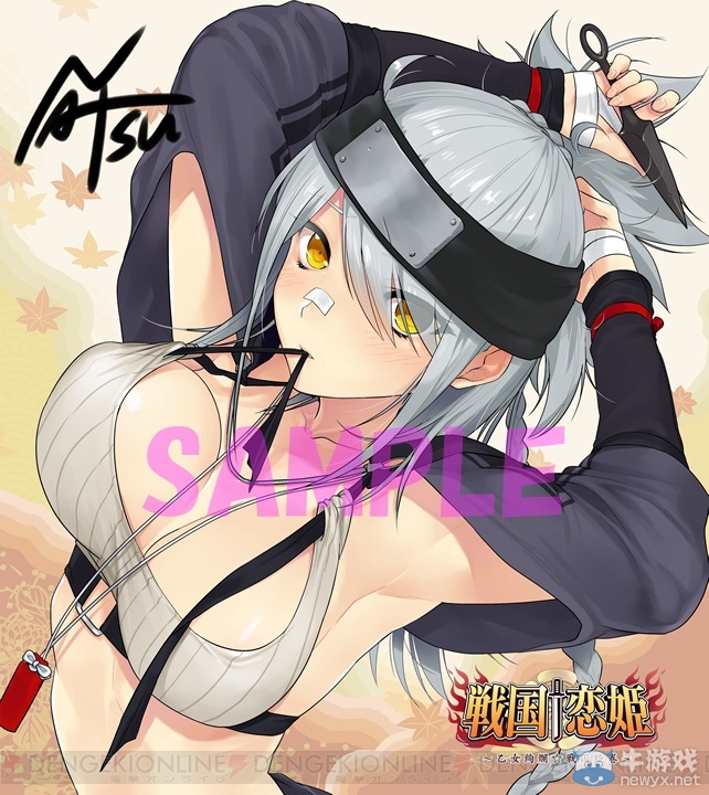 颯爽英姿 肉蒲云集 冒險大作《戰國+戀姫》最新圖集