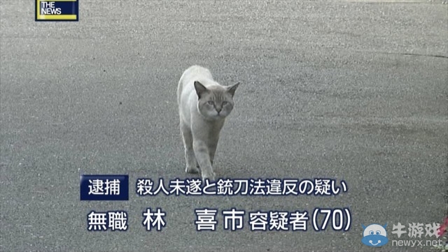 日本“黑幫臉”喵星人圖 很拉風(fēng)很拽霸氣十足
