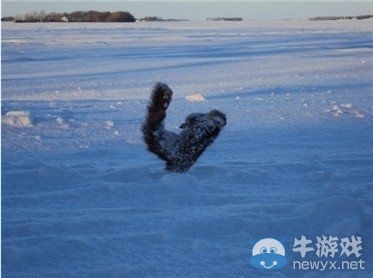 美國危在旦夕 零下50度極寒 民眾直接“尿雪”