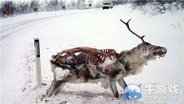 美國危在旦夕 零下50度極寒 民眾直接“尿雪”