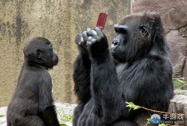 搞笑：大猩猩為NDS做的免費廣告