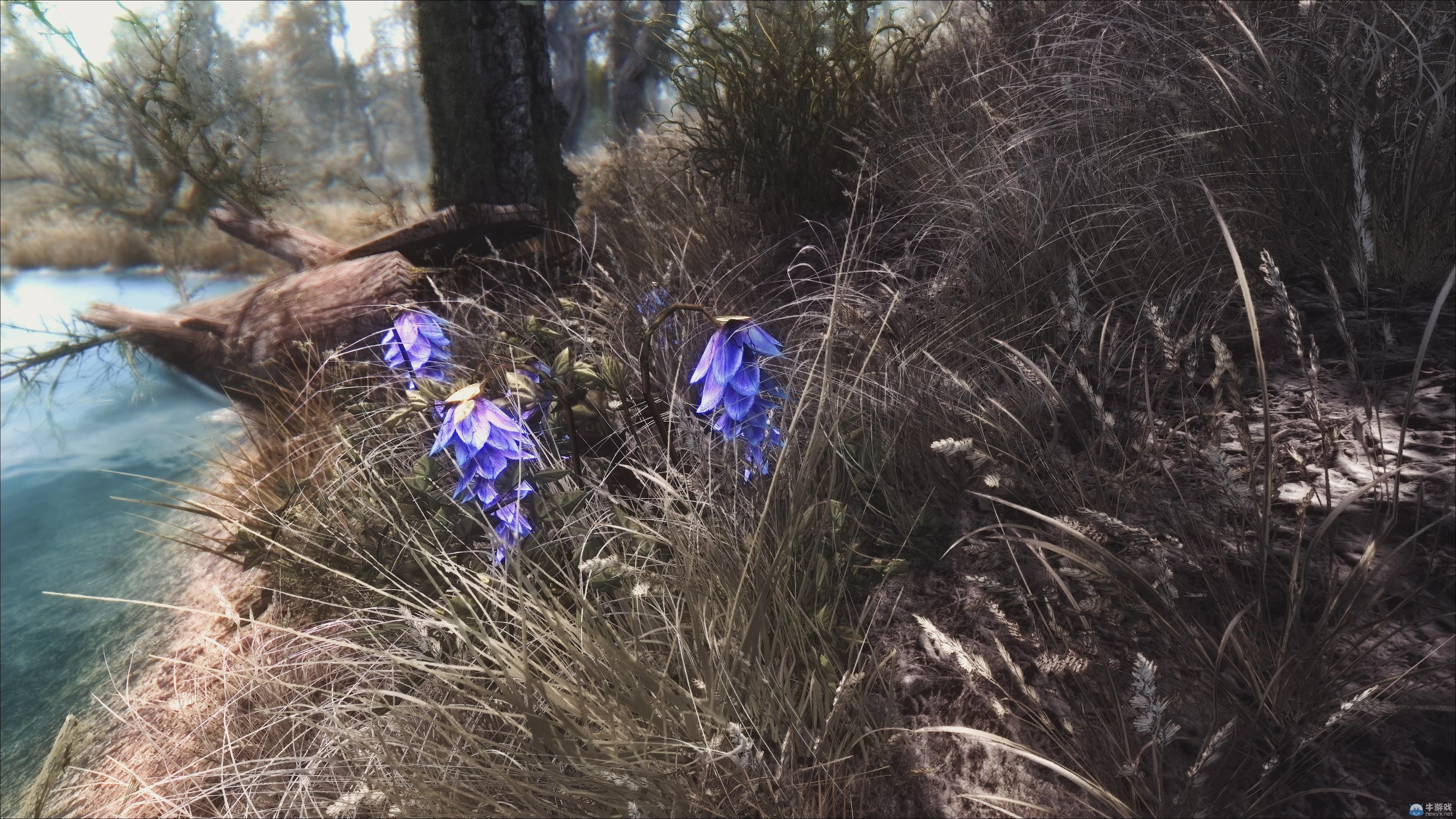 最新MOD圖《上古卷軸5：天際》：性感養(yǎng)眼的女妖精！