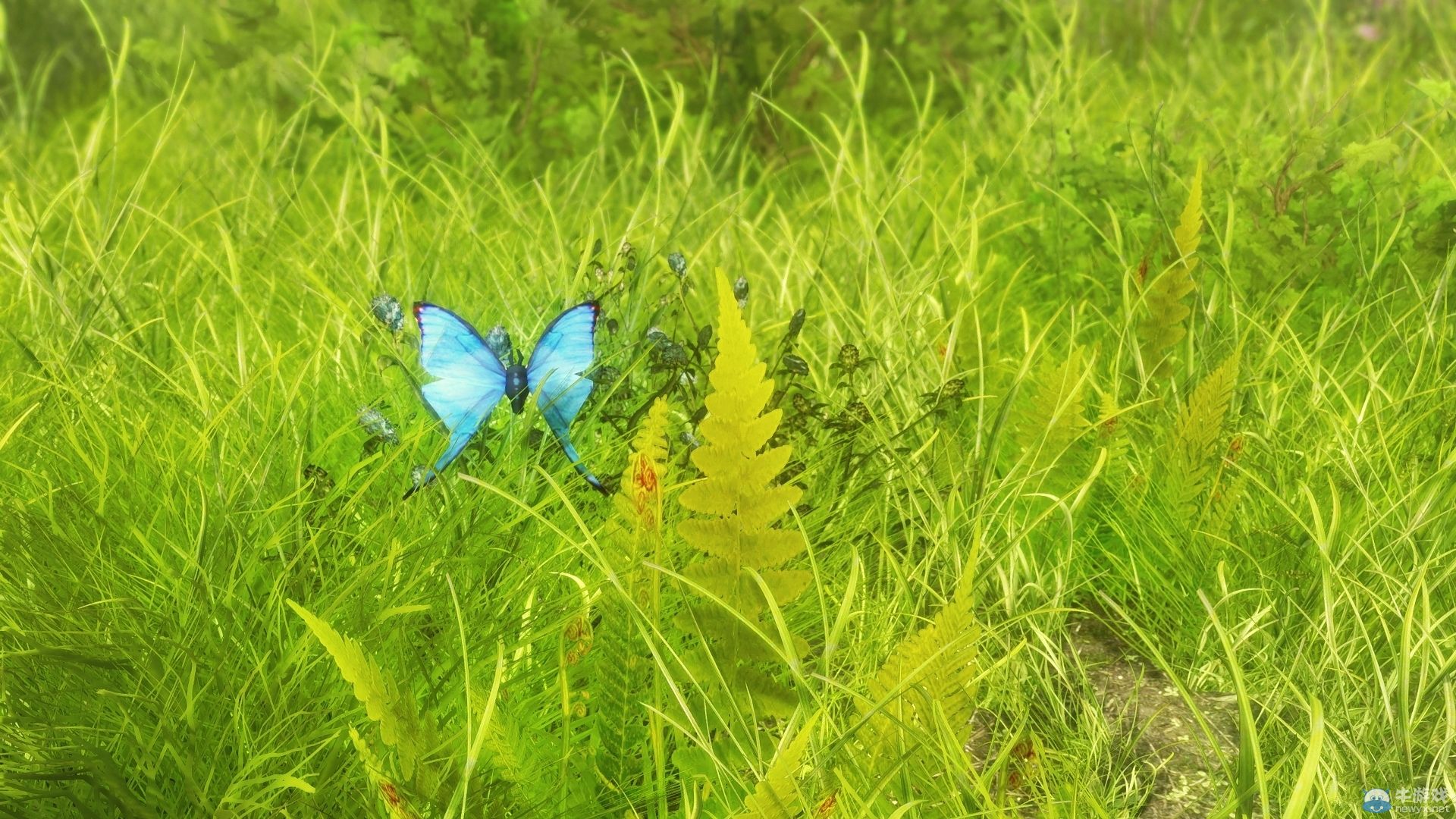 最新MOD圖《上古卷軸5：天際》：性感養(yǎng)眼的女妖精！