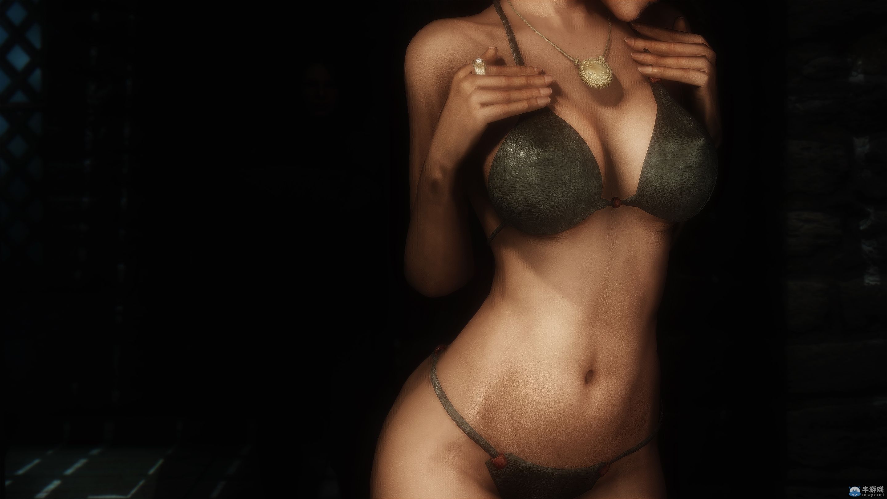 最新MOD圖《上古卷軸5：天際》：性感養(yǎng)眼的女妖精！