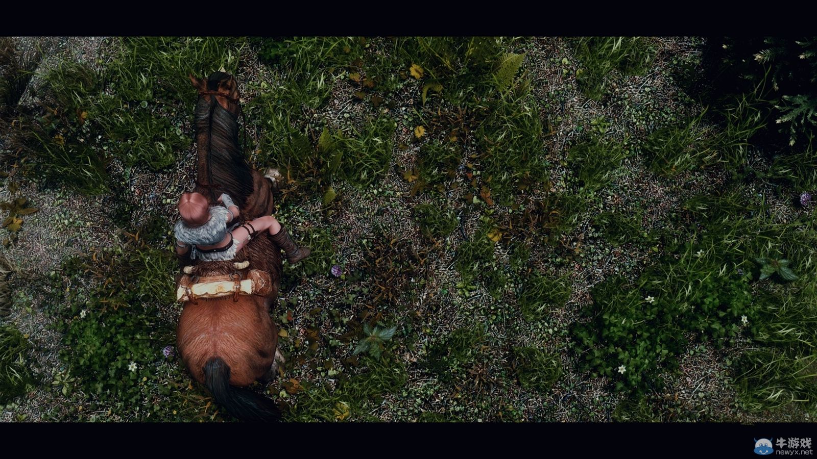 《上古卷軸5：天際》新MOD圖：三大美女隨你挑！