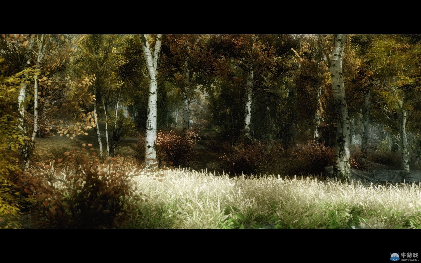 《上古卷軸5：天際》新MOD圖：三大美女隨你挑！