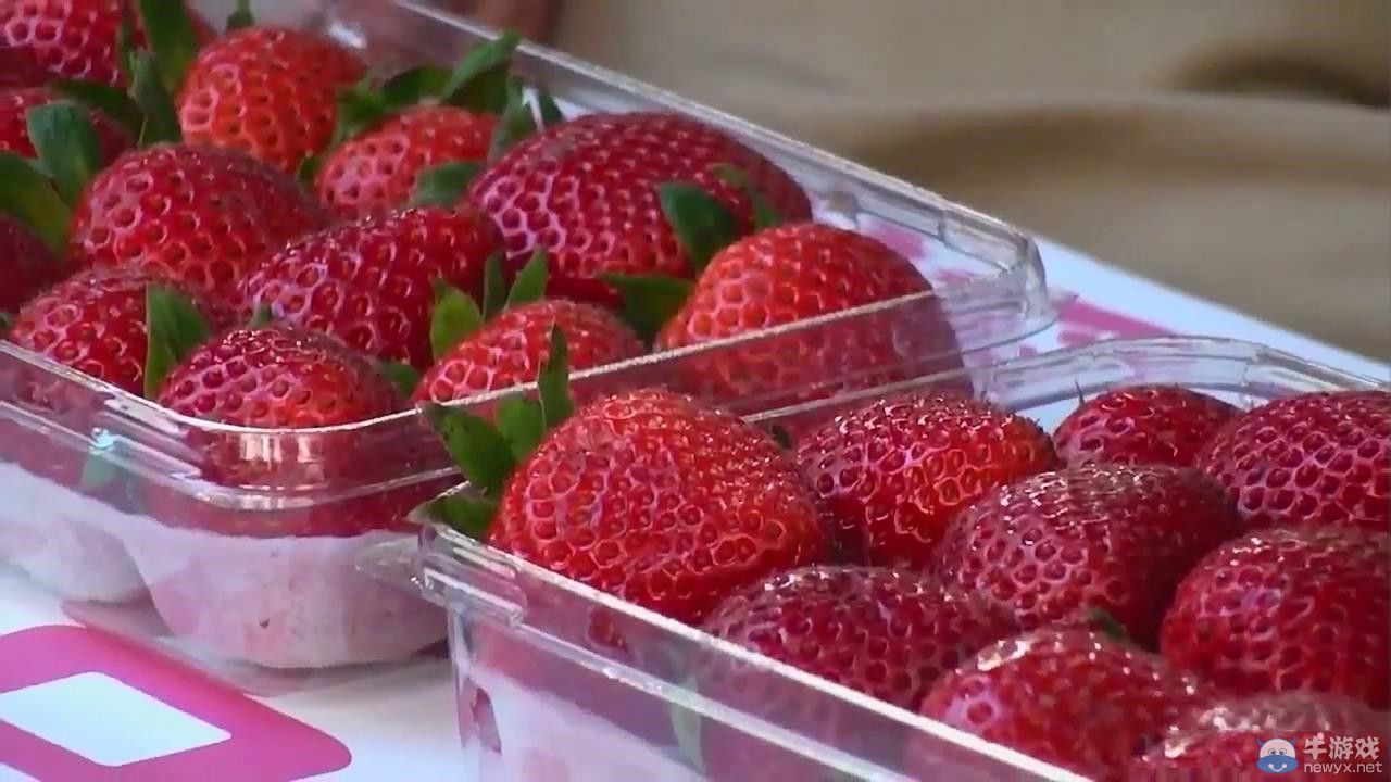 《御姐玫瑰Z2：混沌》（Onechanbara Z2：Chaos）火辣開場動畫：史上最小草莓胸罩