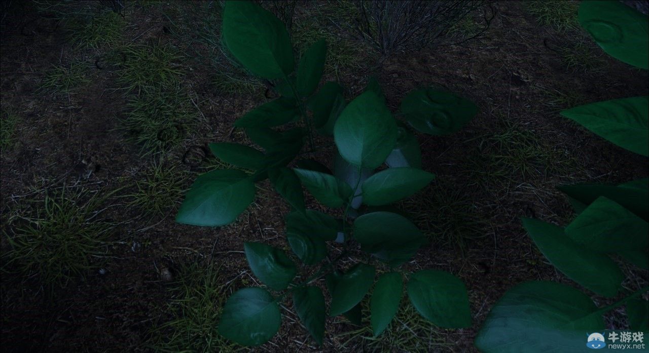 PS4獨占游戲《失憶》（Without Memory）首曝實際截圖：畫質真心很贊