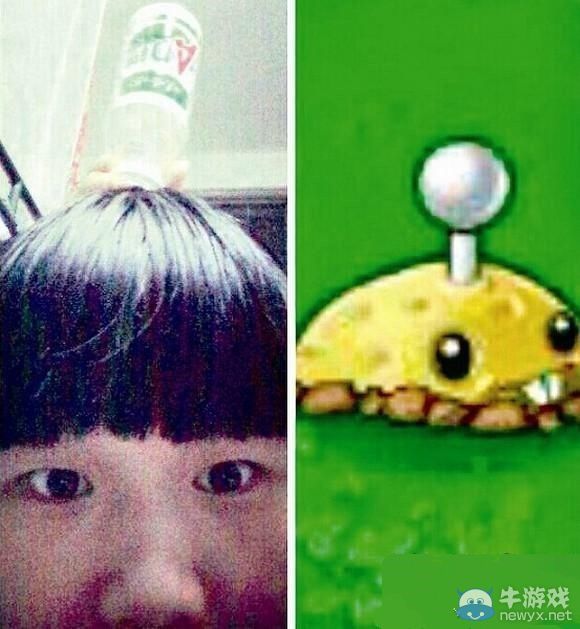 學(xué)長(zhǎng)收走此女!大一學(xué)妹神還原《植物大戰(zhàn)僵尸》