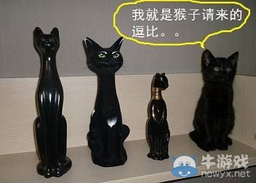 今日神吐槽：不是本姑娘眼力差，是霧都不丈夫啊!