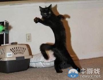 今日神吐槽：不是本姑娘眼力差，是霧都不丈夫啊!