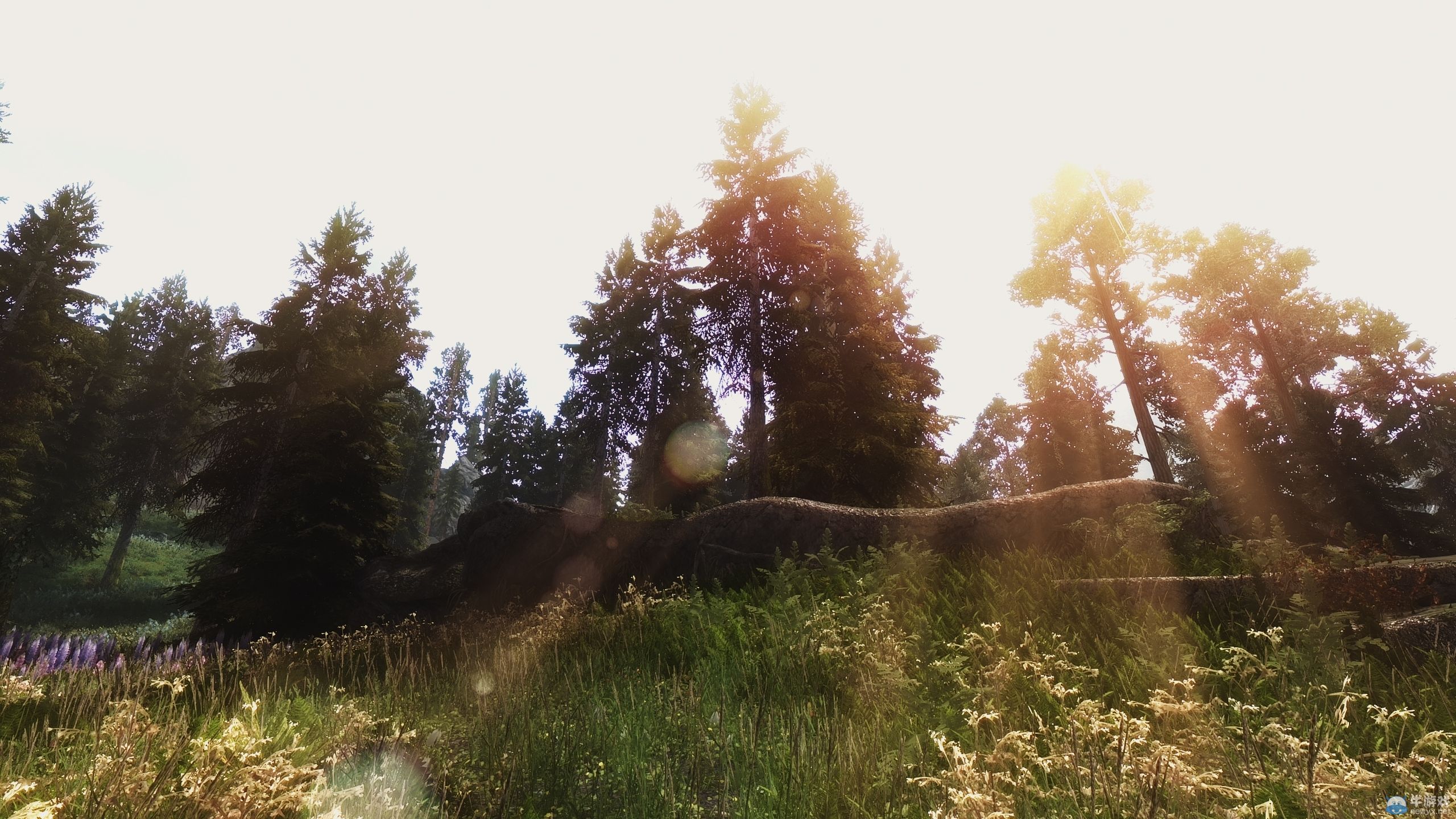 《上古卷軸5：天際》新MOD圖賞：俏皮妹酥胸半露！