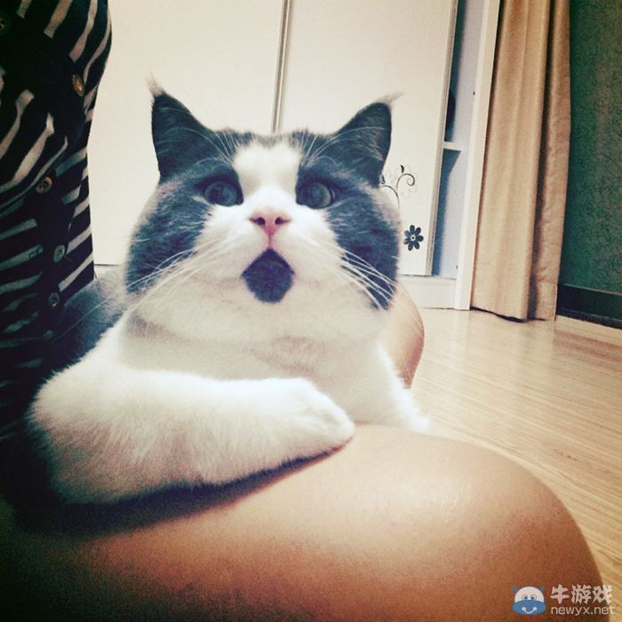 萌到心肝顫!永遠都在