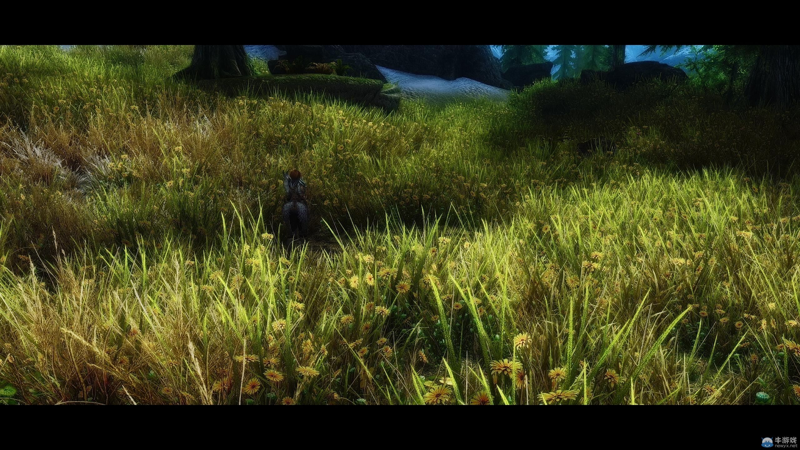 《上古卷軸5：天際》新MOD圖：美眉手執(zhí)光劍很性感