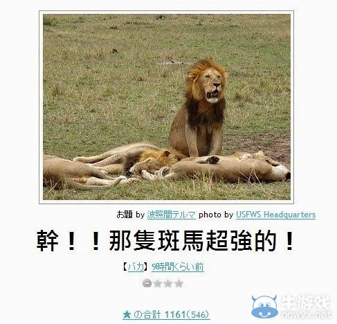 看完笑點變奇怪了呢!日式冷笑話無厘頭圖文大放送
