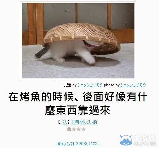 看完笑點變奇怪了呢!日式冷笑話無厘頭圖文大放送