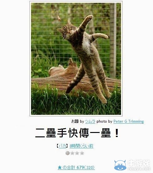 看完笑點變奇怪了呢!日式冷笑話無厘頭圖文大放送
